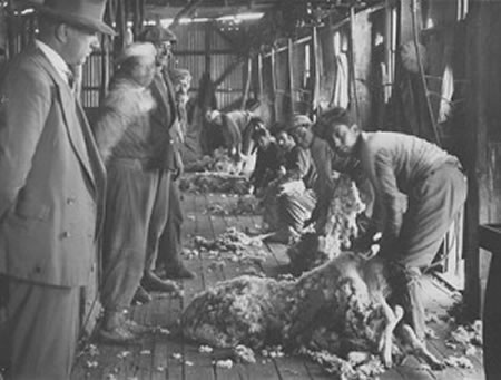 La vida en las estancias y lugares de trabajo a fines a principio de siglo era muy dura y difícil, los trabajadores esquiladores, parte importante de los obreros ganaderos en la Patagonia  eran obligados a trabajar en forma inhumanas muchas horas poco su